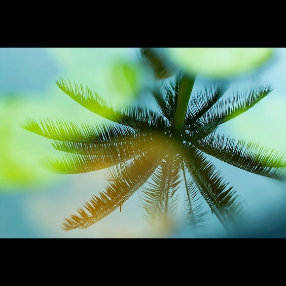 Meet your Posher, Lauren - Picture 1 of 7